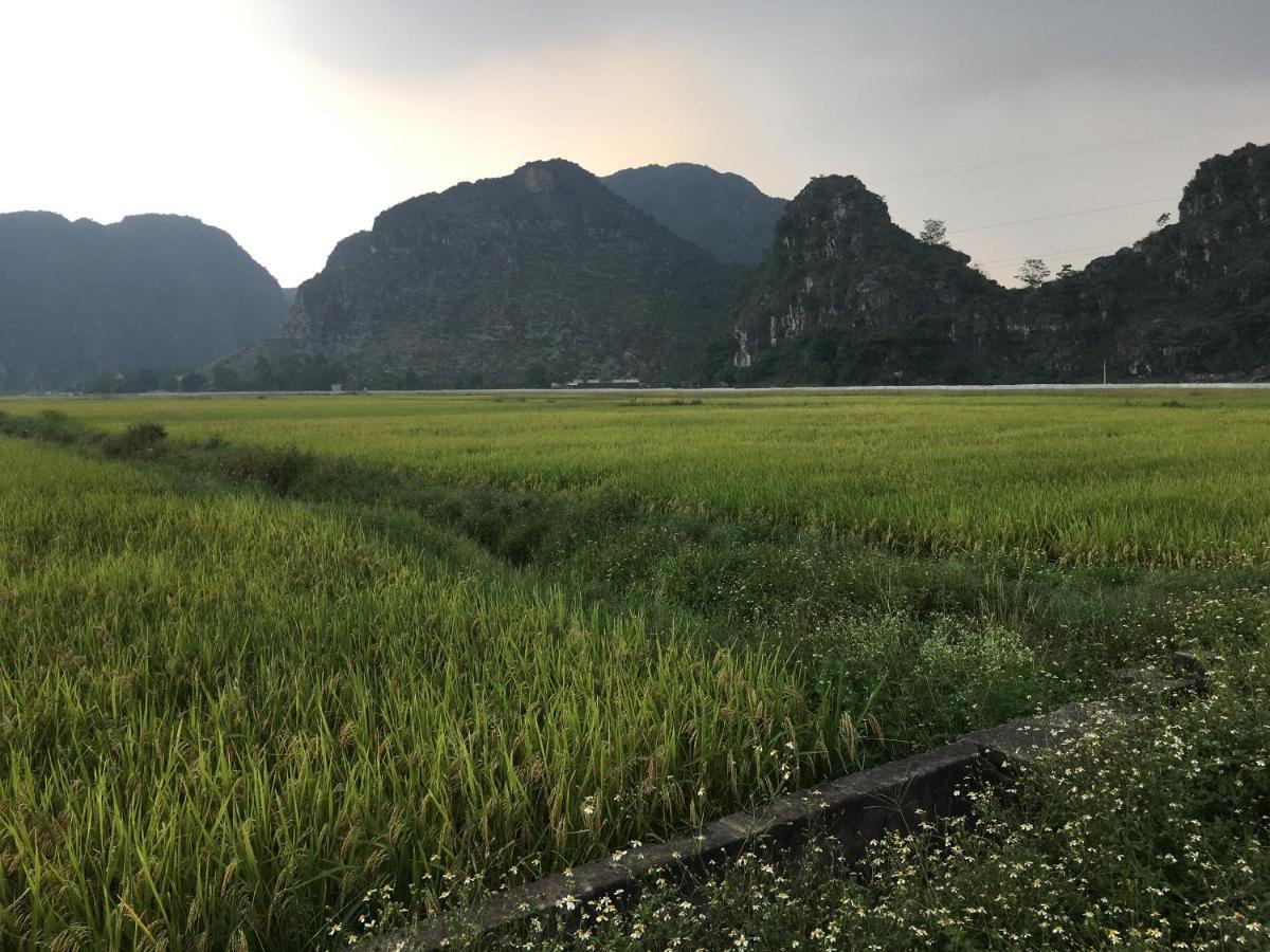 Limestone View Homestay Ninh Binh Eksteriør billede